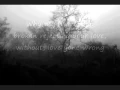 Download Lagu Trading Yesterday - Shattered [Lyrics]
