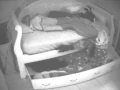 Video di Wrinkles The Clown Caught on CCTV