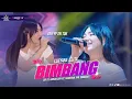 Download Lagu LUSYANAN JELITA - BIMBANG - SINCRON MUSIC IN BANJARSARI - KRADENAN #Bintang_audio