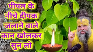 पीपल के नीचे दीपक जलाने से क्या होता है | पीपल के नीचे दीपक कब जलाए #premanandjimaharaj