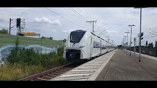                                                              دندنها