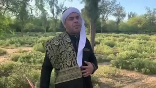 في الصعيد علمونا   اغنية احمد شيبة دندنها