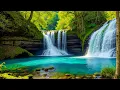 Relaxing Music For Stress Relief, Anxiety and Depressive States • Heal Mind, Body and Soul #14