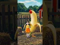 Download Lagu Chicken, banana and Younghee
