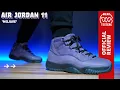Air Jordan 11 Mojave Review