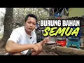 Review Burung Ketua ‼️ Semua ini Burung Bahan