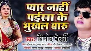 vinod bedardi payar nahi paisa ke bhukhal badu broken heart song 2020