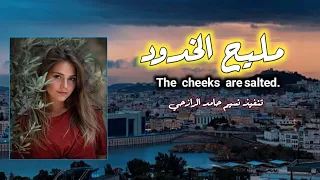 مليح الخدود اقوى شيله غزليه ب الحان رازحيه جديه      دندنها