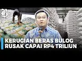 Download Lagu Ada 300.000 Ton Beras Bulog Terancam Rusak