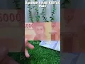 Download Lagu Mainan Uang Rupiah Mirip Asli