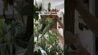 The Entire Setup Almost Crashed 