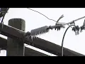 CPS Energy customers without power may not see relief for days