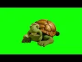 Green Screen Turtle from Creature Comforts Meme