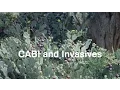 Download Lagu Invasives Vision