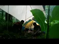 Download Lagu NOT SOLO CAMPING HUJAN DERAS - HANGAT DAN NYAMAN DIDALAM TENDA
