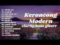 KERONCONG MODERN TERBARU TANPA IKLAN || TETEG ATI || KLEBUS || SATRU || SATRU 2 ||