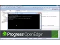OpenEdge Debugging ABL Code