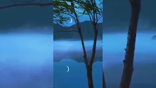 أنشودة يا من إذا ناديته لب اني                                                            دندنها
