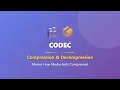 What is a Codec Compression Explained