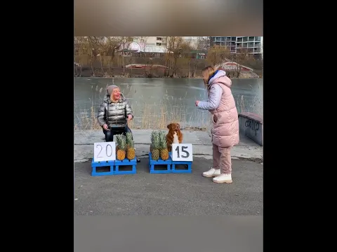 Anjing Ini Pintar, Jahil, Tapi Setia ❤️🦮