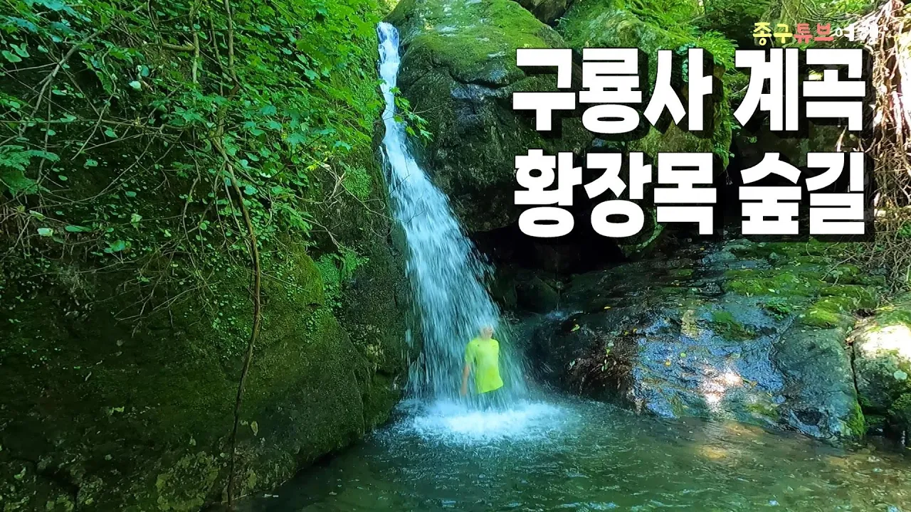 시원하고 걷기 쉬운 8월 여행지 추천 ㅣ 원주 치악산 구룡사계곡 ㅣ 황장목 숲길 サムネイル