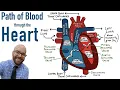 Download Lagu Path of Blood Flow through the Heart | Step by step through every chamber, valve, and major vessel