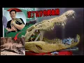 Download Lagu 古晋杨氏鳄鱼园，百年鳄鱼精恐怖真实故事！- VLOG