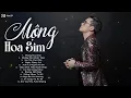 Download Lagu Những Ca Khúc Hay Nhất của Khánh Phương 2025 - Album Mộng Hoa Sim - Nhạc Trẻ Khánh Phương