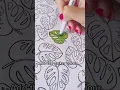 How to blend with Crayola super tips Colouring in tips to make your page pop subscribe for more