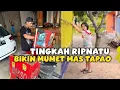 Lagu RIPNATU MAU KABUR || SAAT BAKSO DATANG 