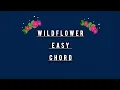 Lagu EASY CHORD WILDFLOWER BILLIE EILISH FOR GUITAR BEGINNER