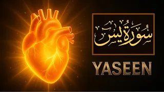 لماذا ت سمى سورة يس قلب القرآن    دندنها