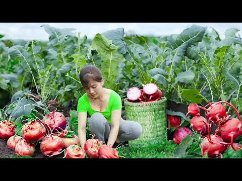 Download MP3 Harvesting Kohlrabi Goes To Market Sell - Replant the vegetable garden - Daily Farm | Nhất New Life