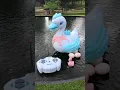 RC EGG Laying Duck Unboxing and Testing