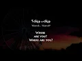 Abeer Nehme - Waynak (Lebanese Arabic) Lyrics + Translation - عبير نعمة - وينك