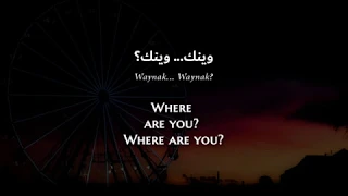 Abeer Nehme Waynak Lebanese Arabic Lyrics Translation عبير نعمة وينك 