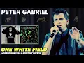 Download Lagu Peter Gabriel \u0026 Suzanne Vega - One White Field (Curtains - 1990)