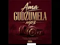 Ama Gudzumela -optimist music za ×motion mp3