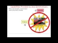 Overview of Java Synchronization Part 1