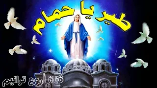 ترنيمة طير يا حمام ساتر ميخائيل ترانيم العدرا 