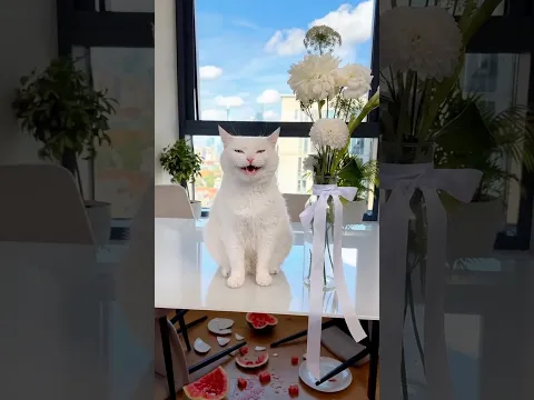 РУГАТЬ ЗА ТАКОЕ? 😱