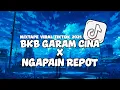 Lagu BKB GARAM CINA X NGAPAIN REPOT DJ REMIX TERBARU 2025