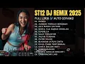 ST12 DJ Remix 2025 — Dari “Puspa” Sampai “Cinta Tak Harus Memiliki” 😭🔥