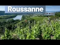 Roussanne Grape Explained Rhone Valley White Wine Flavours Marsanne Regions