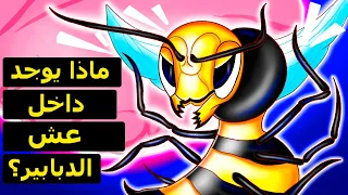 ماذا سترى لو تمكنت من دخول عش دبابير  دندنها