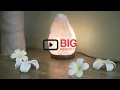 Panchkosh Wellness Centre in Sydney Let Ayurveda Yoga show you the natural way to good health