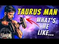TAURUS MAN What are they REALLY like