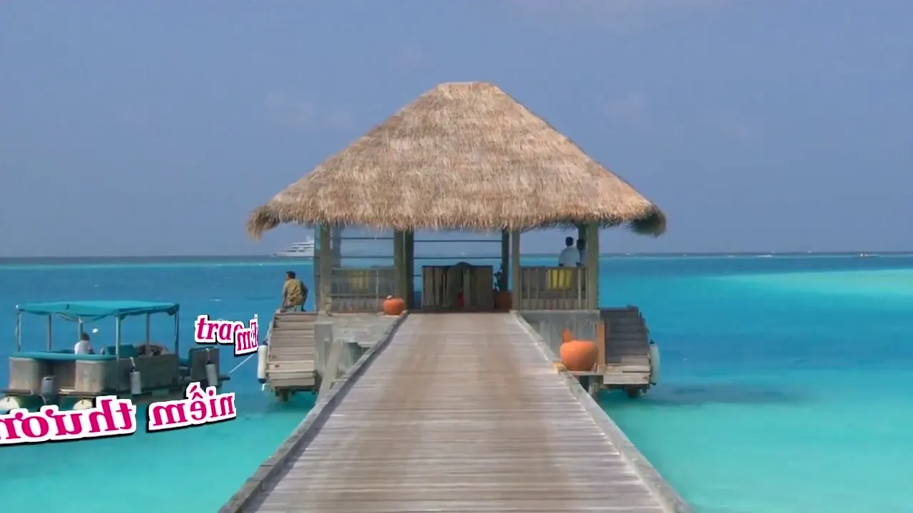 Đã Có Một Thời - Ngọc Anh - karaoke