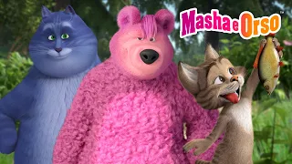 Masha e Orso 🐾 Code soffici: Orso e Gatti 🐻🐱 Cartoni animati per bambini