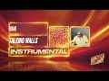 HAAi, Skybreak, Cantoalegre - Talking Walls (Instrumental)